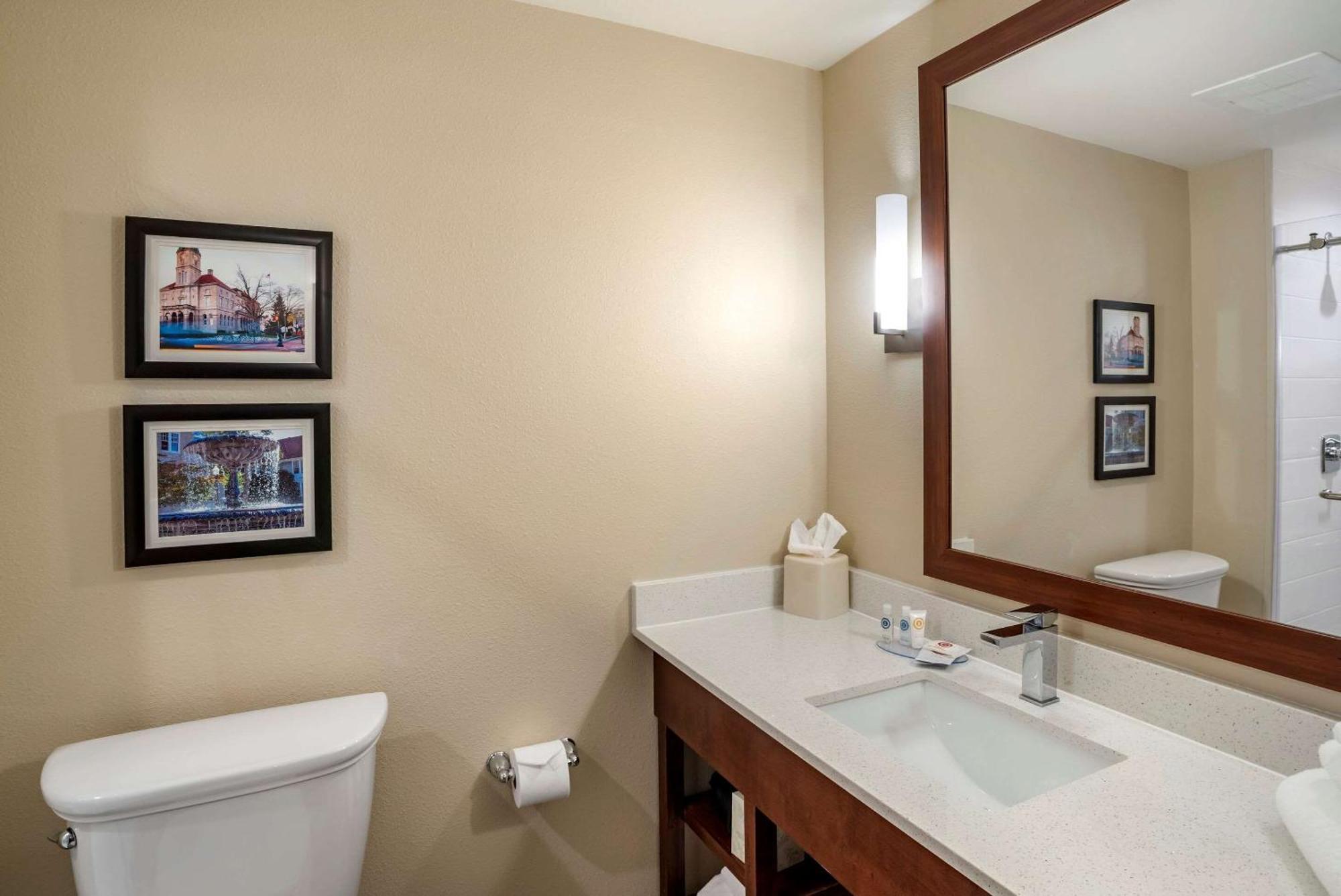 Comfort Inn & Suites Harrisonburg Room photo